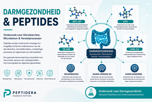 Darmgezondheid en Peptides | Onderzoek naar de Darmbarrière en het Microbioom