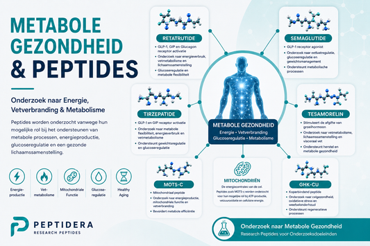 Metabole Gezondheid en Peptides | Onderzoek naar Energie en Stofwisseling