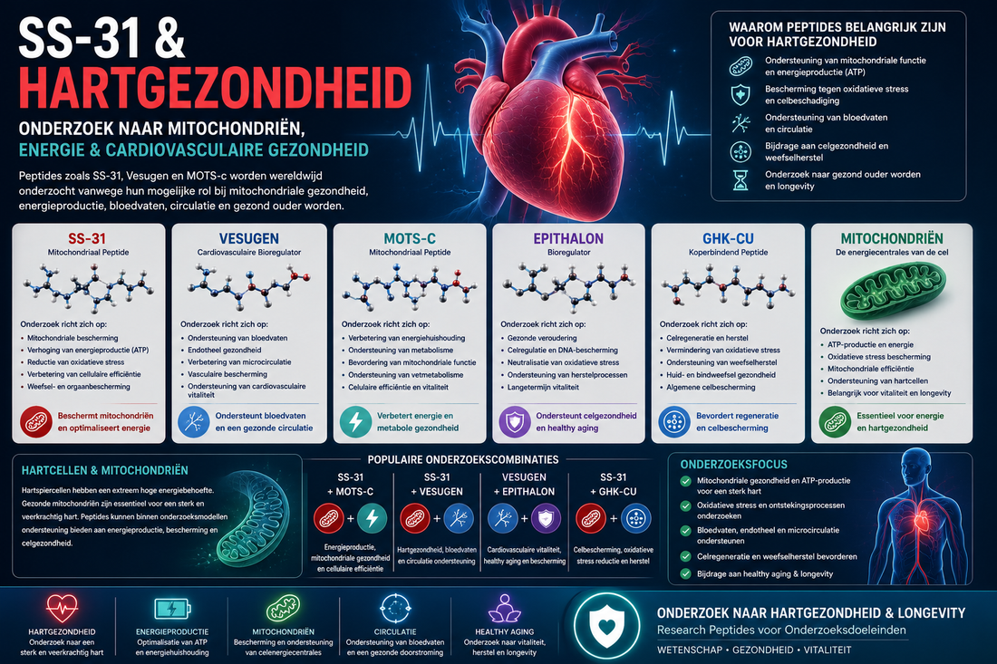 SS-31 en Hartgezondheid | Onderzoek naar Mitochondriën en Cardiovasculaire Peptides