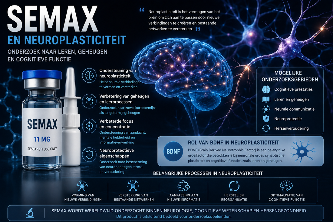 Semax en neuroplasticiteit | Onderzoek naar hersengezondheid