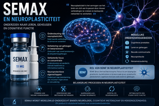 Semax en neuroplasticiteit | Onderzoek naar hersengezondheid