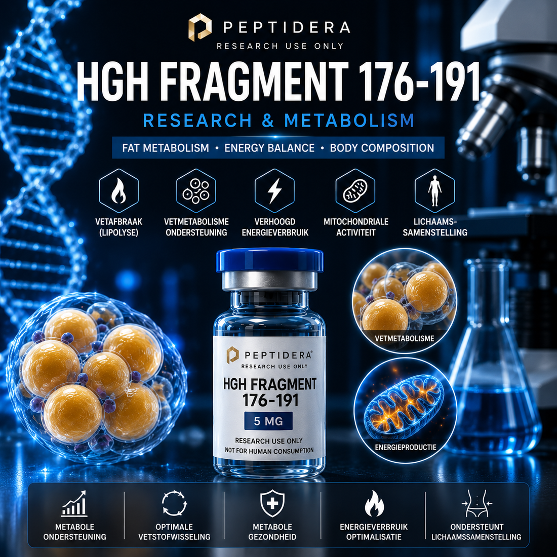 HGH Fragment 176-191: Onderzoek naar Vetmetabolisme en Energiehuishouding
