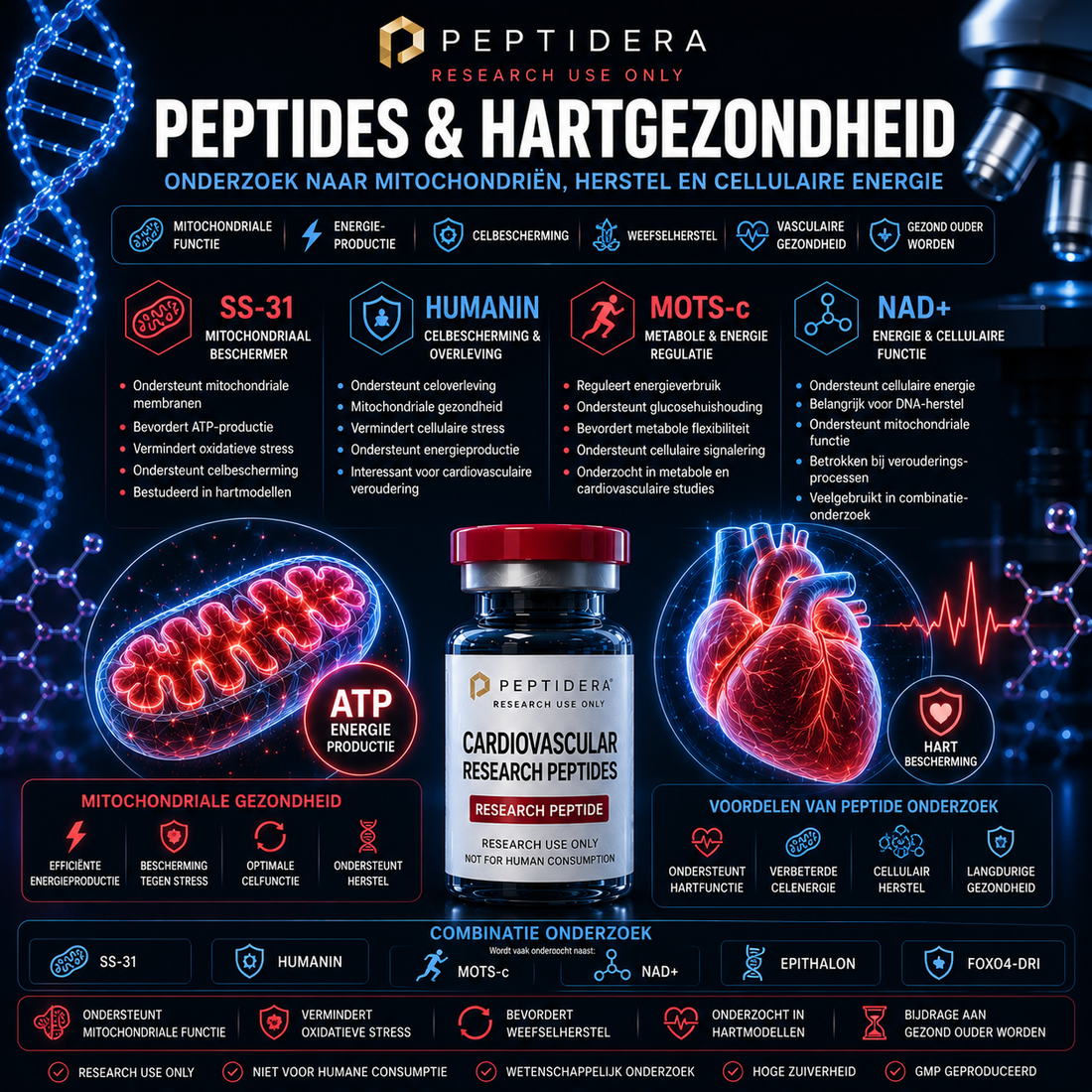Peptides en Hartgezondheid | Onderzoek naar Mitochondriën en Energie