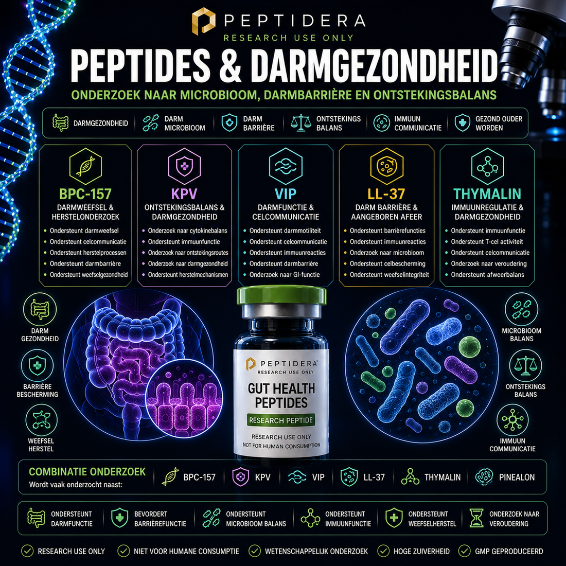 Peptides en Darmgezondheid: Onderzoek naar Microbioom, Darmbarrière en Ontstekingsbalans