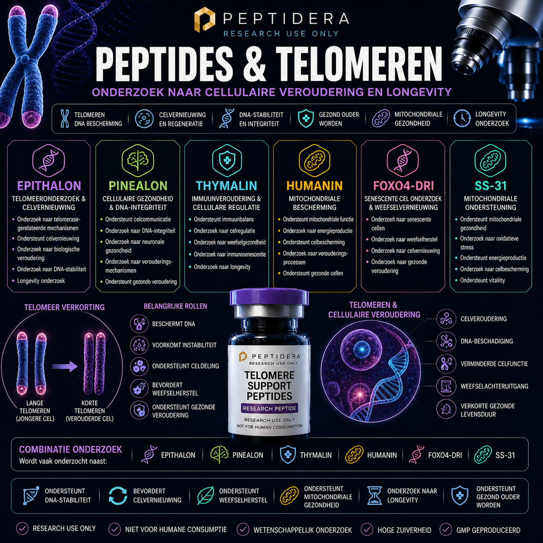 peptides en Telomeren: Onderzoek naar Cellulaire Veroudering en Longevity