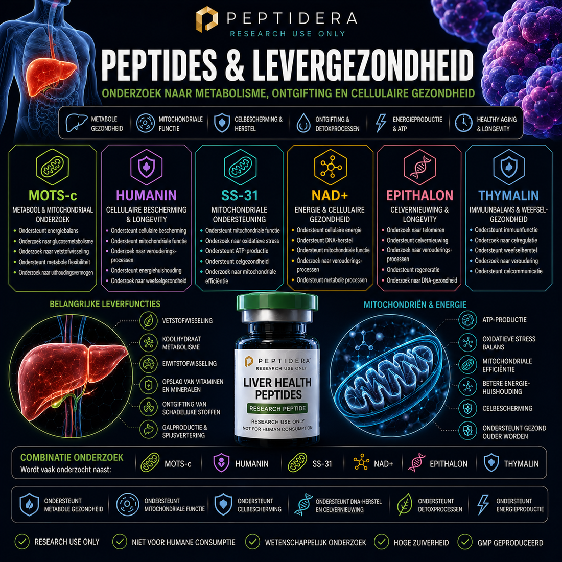 Peptides en Levergezondheid: Onderzoek naar Metabolisme, Ontgifting en Cellulaire Gezondheid