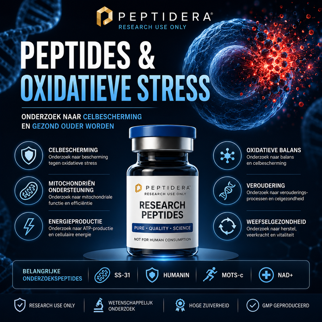 Peptides en Oxidatieve Stress: Onderzoek naar Celbescherming en Gezond Ouder Worden