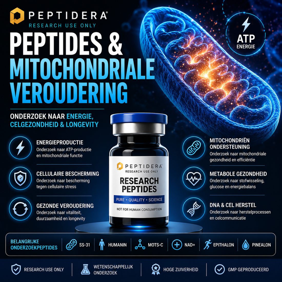 Peptides en Mitochondriale Veroudering: Onderzoek naar Energie, Celgezondheid en Longevity