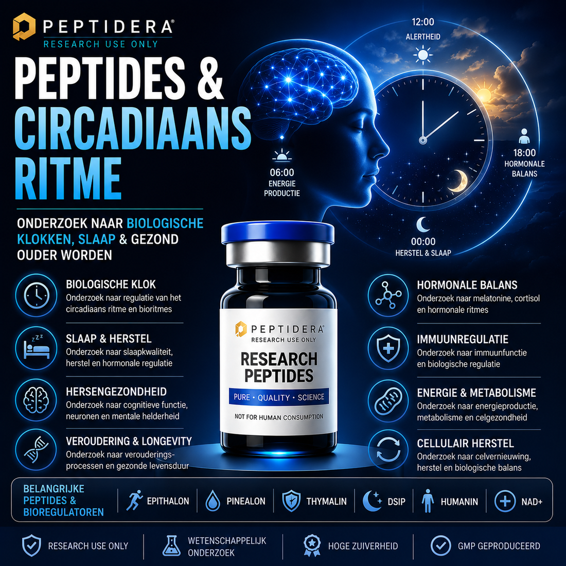 Peptides en Circadiaans Ritme: Onderzoek naar Biologische Klokken en Gezond Ouder Worden
