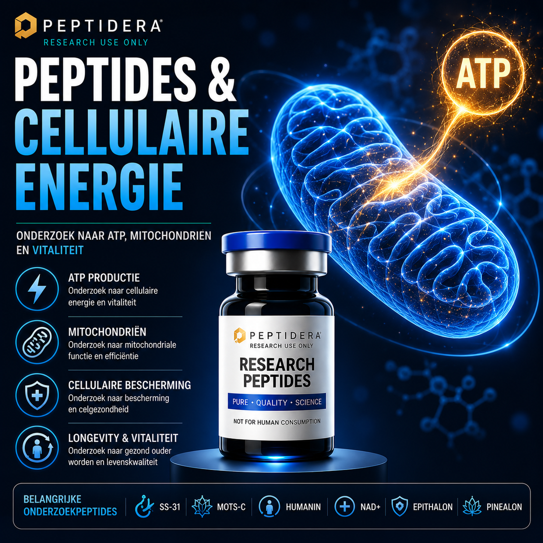 Peptides en Cellulaire Energie: Onderzoek naar ATP, Mitochondriën en Vitaliteit