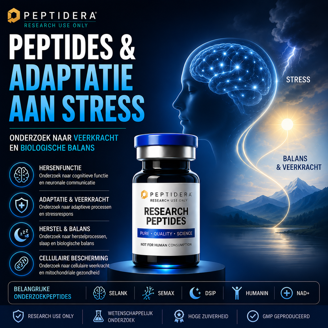 Peptides en Adaptatie aan Stress: Onderzoek naar Veerkracht en Biologische Balans