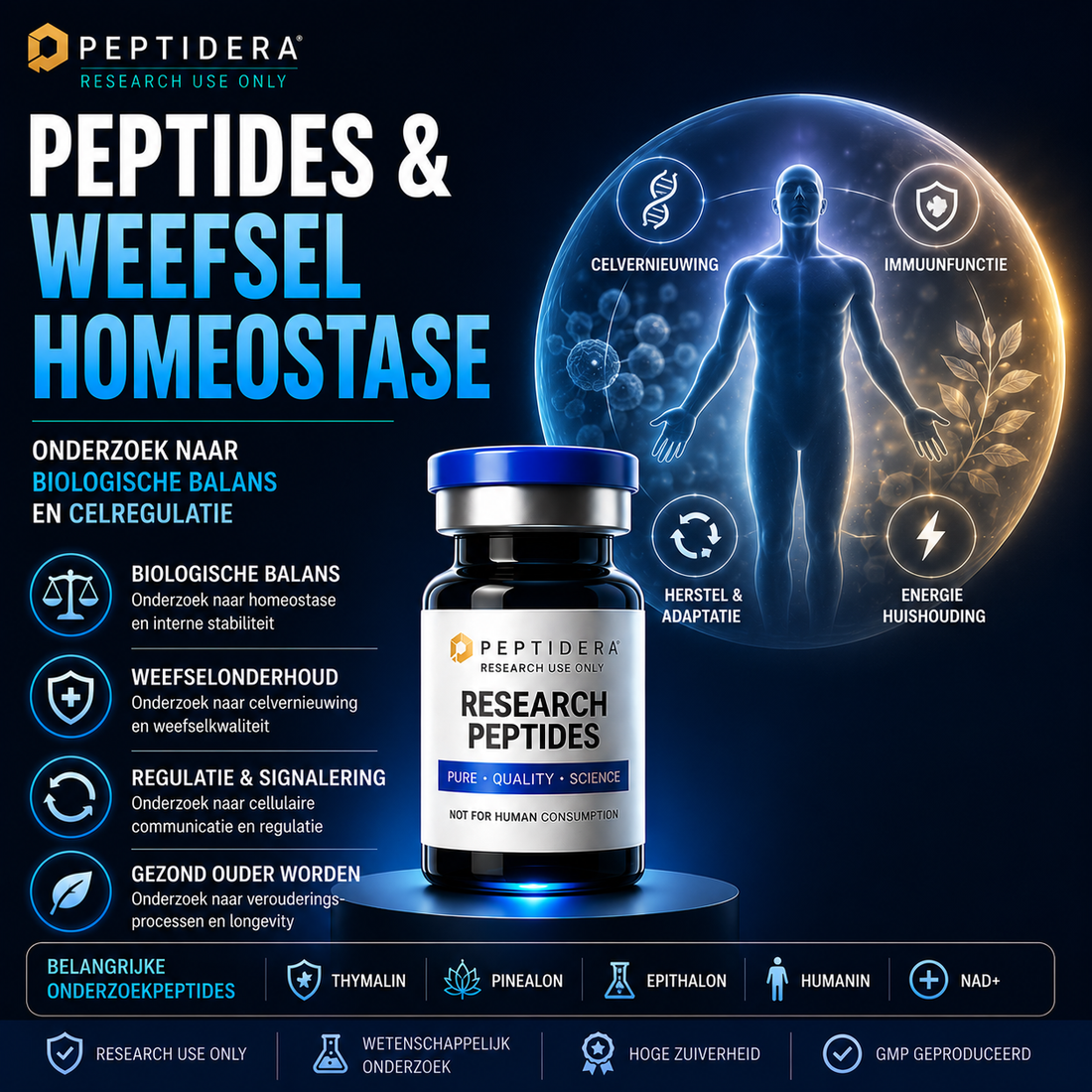 Peptides en Weefselhomeostase: Onderzoek naar Biologische Balans en Celregulatie