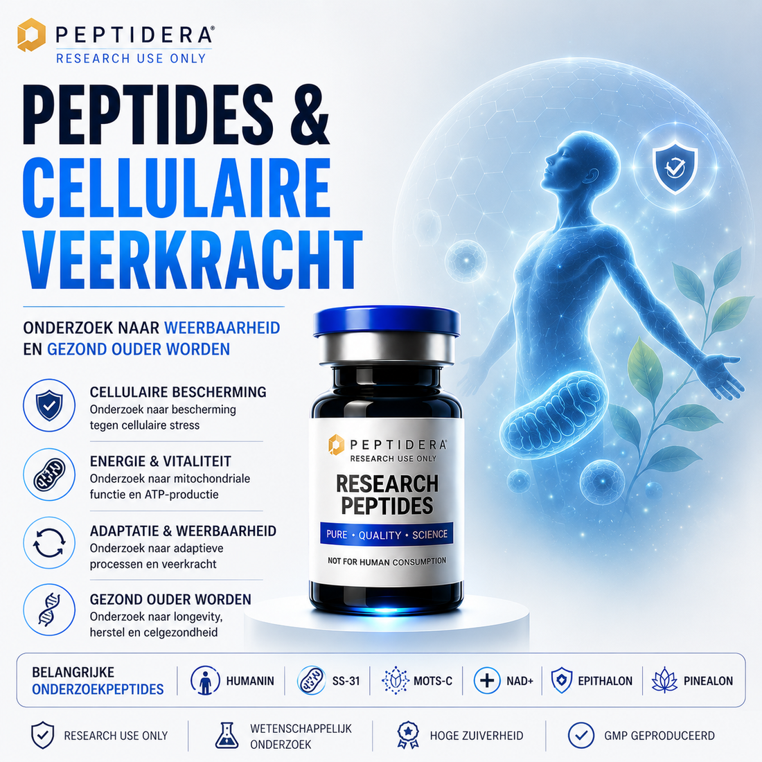 Peptides en Cellulaire Veerkracht: Onderzoek naar Weerbaarheid en Gezond Ouder Worden