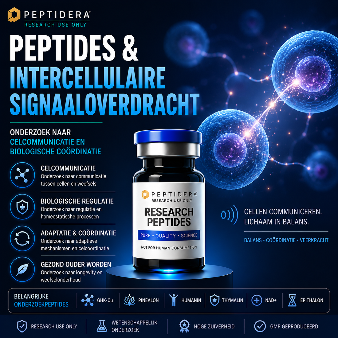 Peptides en Intercellulaire Signaaloverdracht: Onderzoek naar Celcommunicatie en Biologische Coördinatie