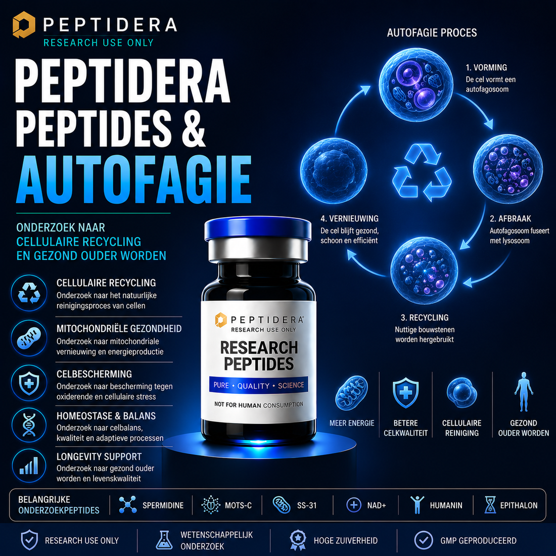 Peptidera Peptides en Autofagie: Onderzoek naar Cellulaire Recycling en Gezond Ouder Worden