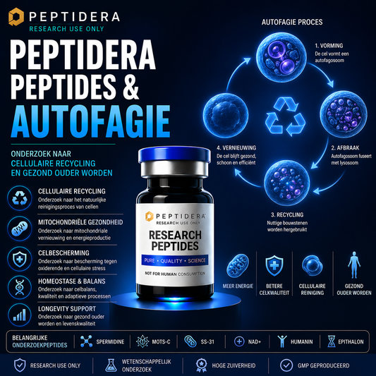Peptidera Peptides en Autofagie: Onderzoek naar Cellulaire Recycling en Gezond Ouder Worden