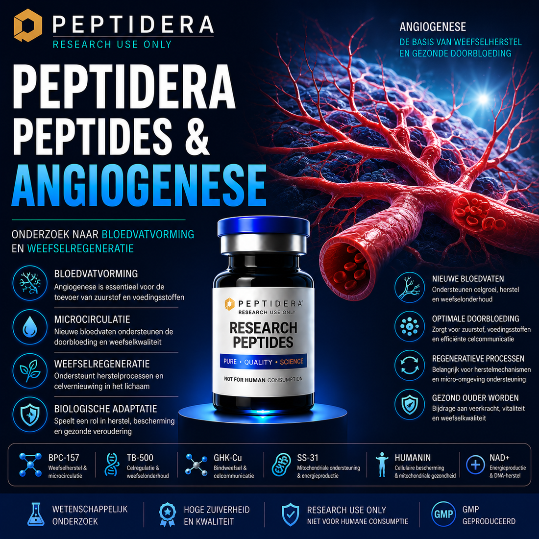 Peptidera Peptides en Angiogenese: Onderzoek naar Bloedvatvorming en Weefselregeneratie