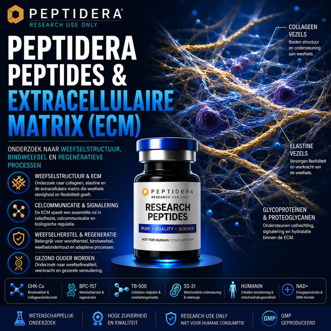 Peptidera Peptides en Extracellulaire Matrix (ECM): Onderzoek naar Weefselstructuur en Regeneratie