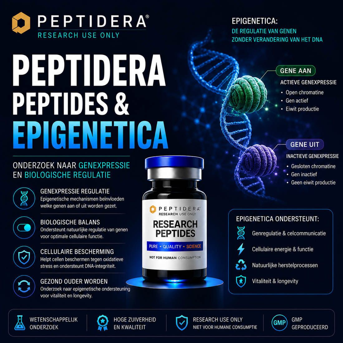 Peptidera Peptides en Epigenetica: Onderzoek naar Genexpressie en Biologische Regulatie