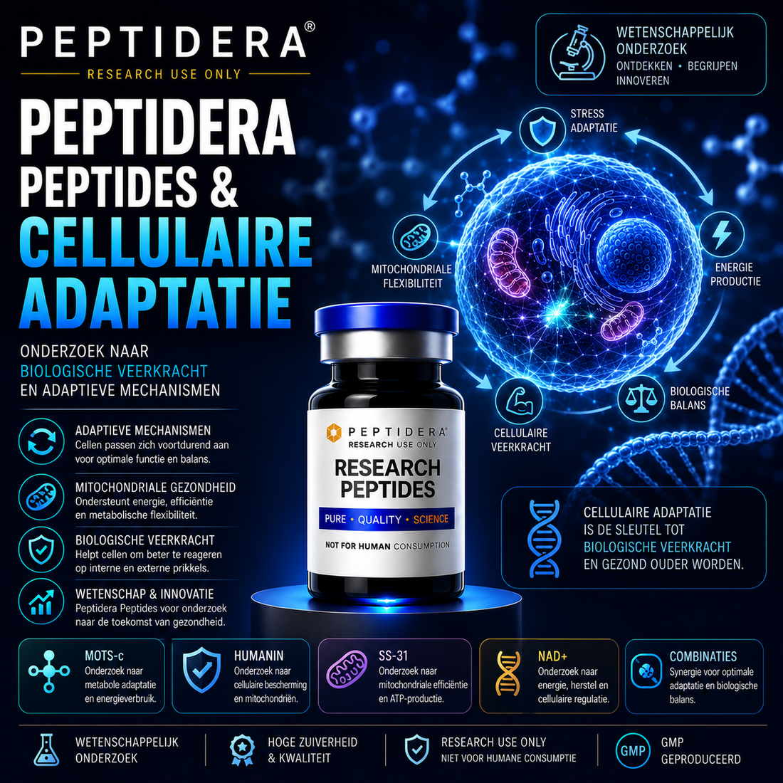Peptidera Peptides en Cellulaire Adaptatie: Onderzoek naar Biologische Veerkracht