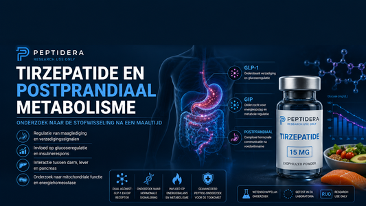 Tirzepatide en Postprandiaal Metabolisme: Onderzoek naar de Stofwisseling na een Maaltijd