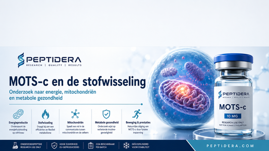 Kan MOTS-c de mitochondriën ondersteunen? Wat zegt de wetenschap?