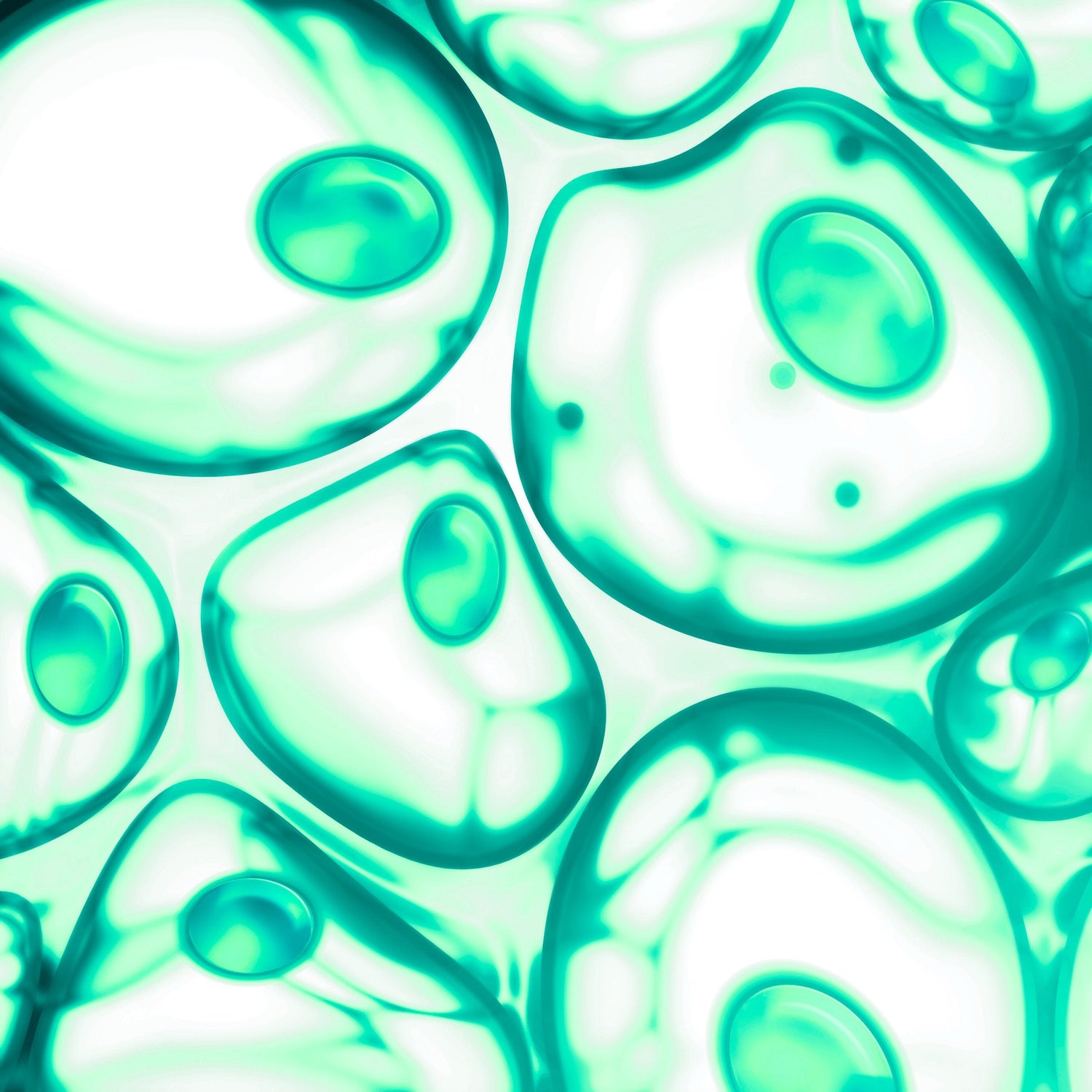 Huid & Celbiologie